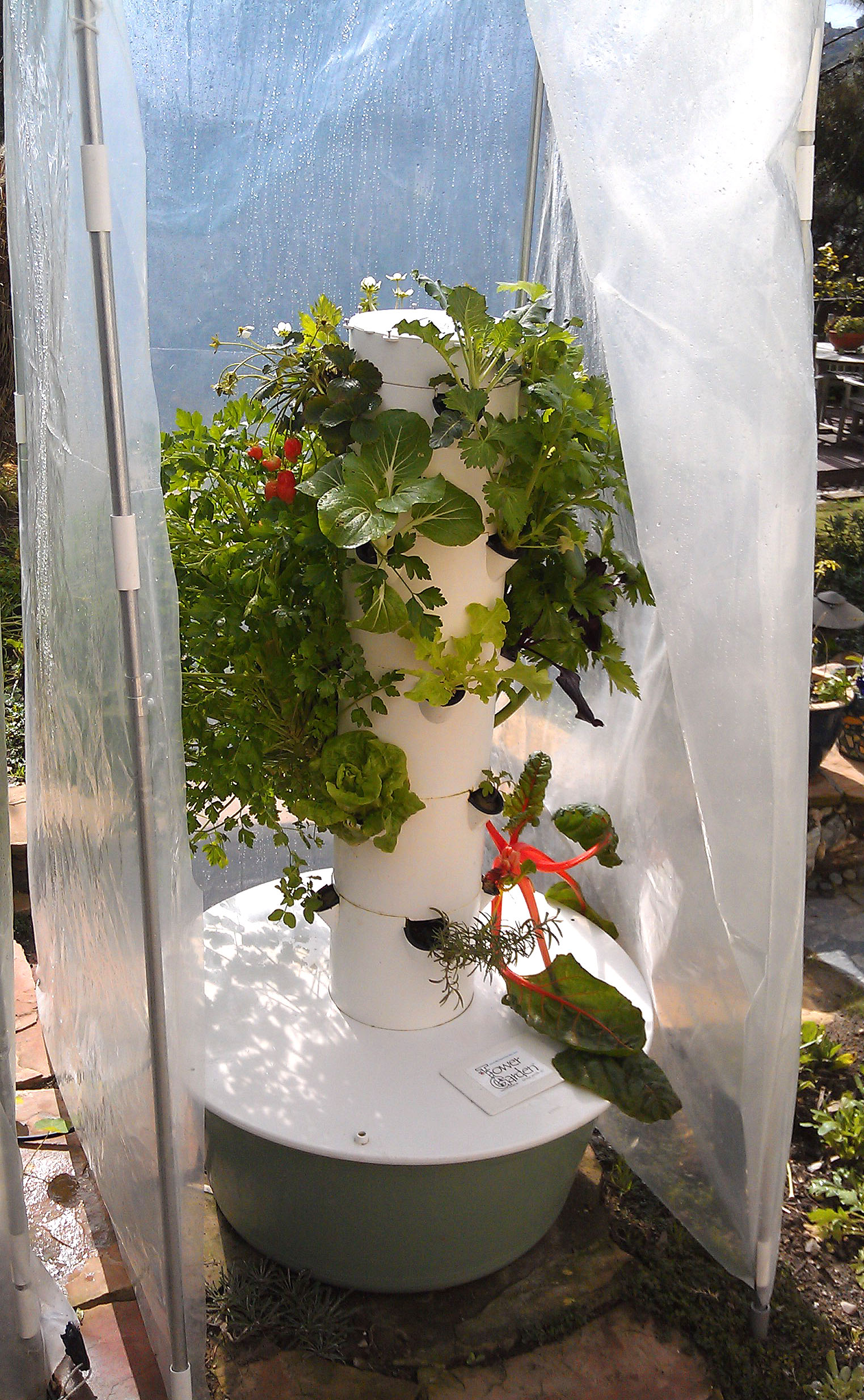 Tower Garden Season Extenders Solar Pumps Edible Seedlings And